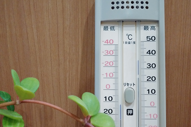 寒暖差に負けないで