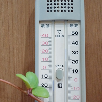 寒暖差に負けないで